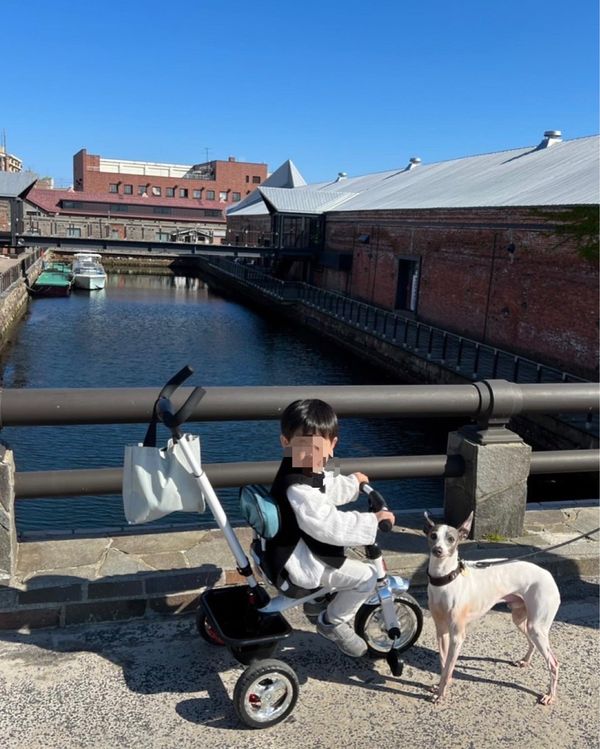 日本・函館「北海道旅行」の写真：函館