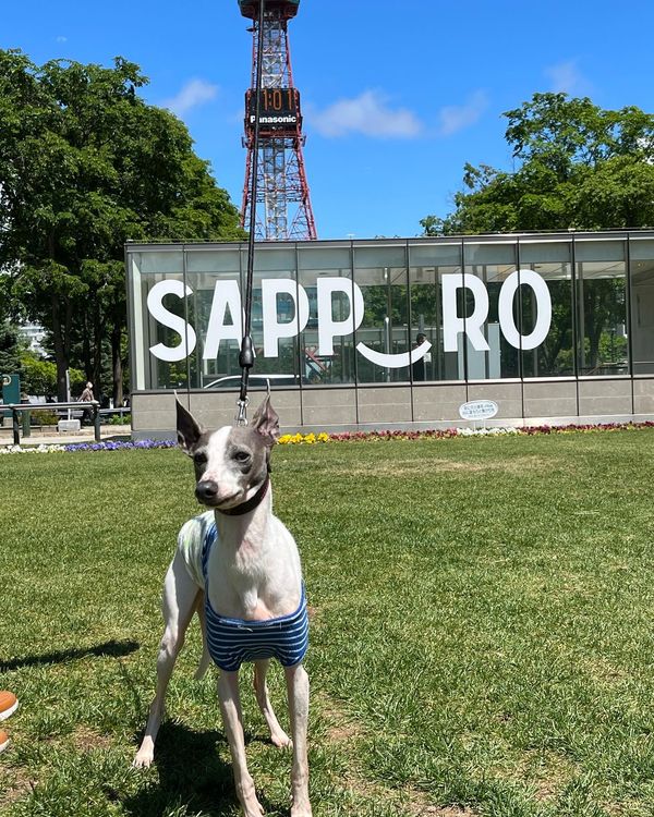 日本・函館「北海道旅行」の写真：札幌観光