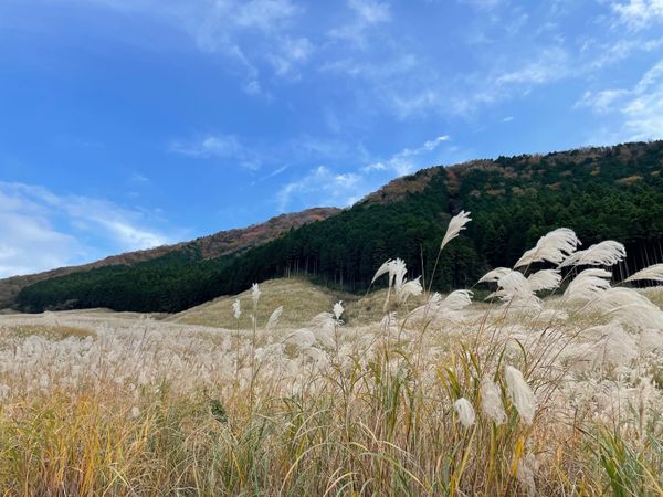 日本・箱根「箱根」の写真