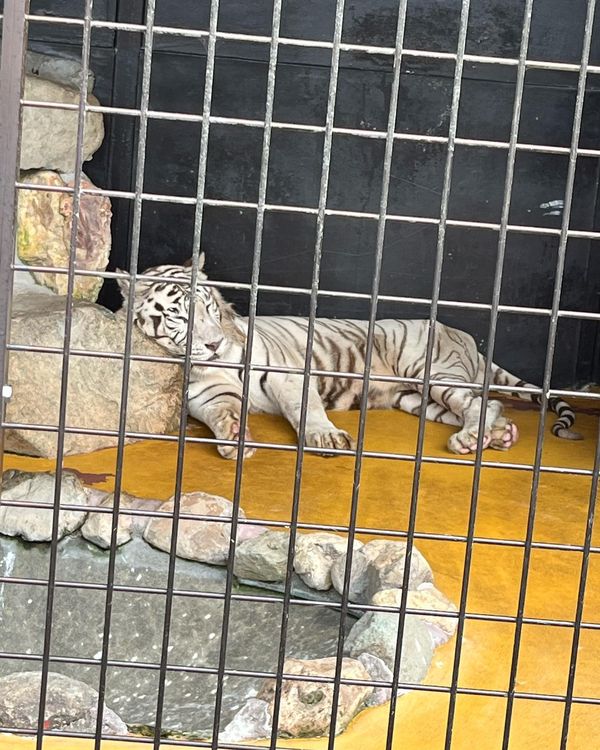 日本・山口県「山口県旅行」の写真