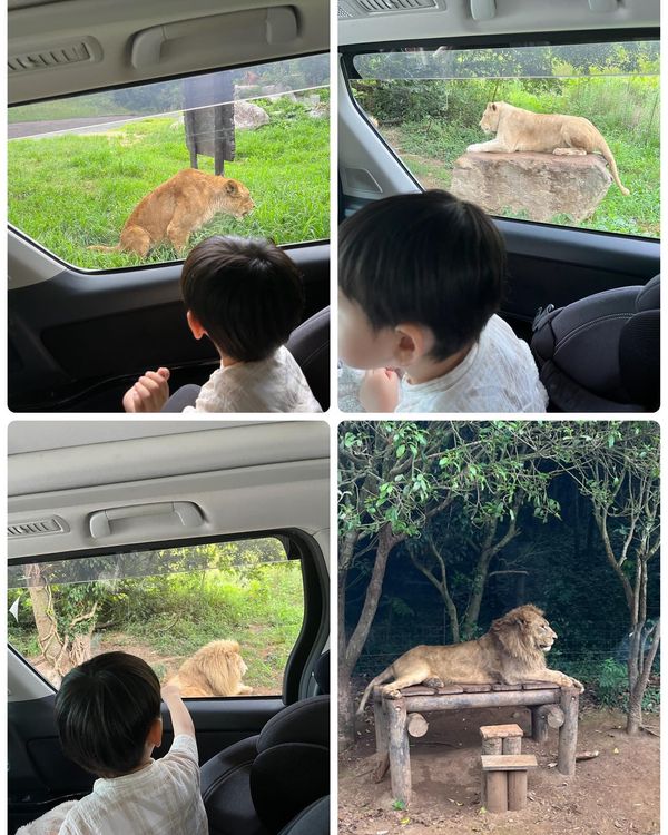 日本・山口県「山口県旅行」の写真