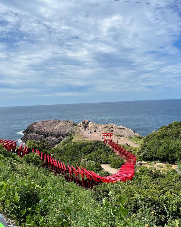 日本・山口県「山口県旅行」の写真：龍宮の潮吹き