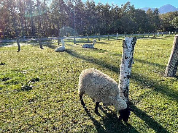 日本・長野県「長野」の写真
