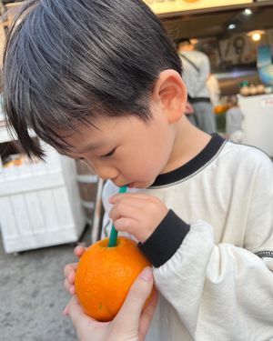 三重県伊勢神宮
おかげ横丁で散歩しながら参拝できました。