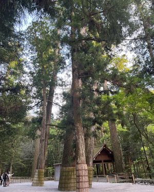 三重県伊勢神宮
おかげ横丁で散歩しながら参拝できました。