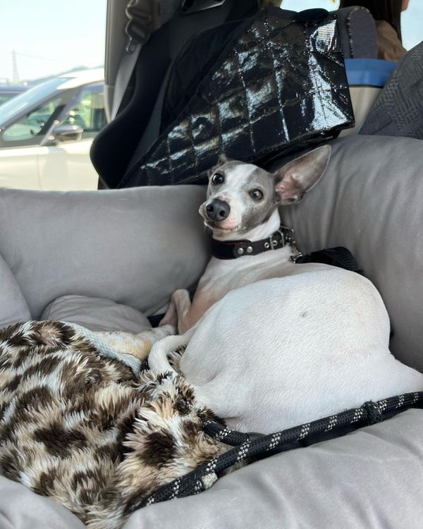 日本・和歌山県「和歌山旅行」の写真：和歌山マリーナシティに隣接する黒潮市場と...