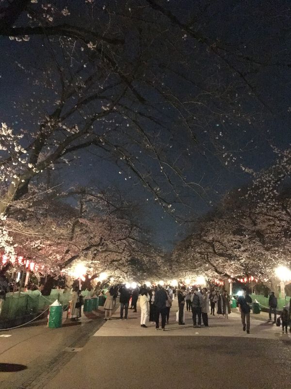 日本・台東区「上野公園」の写真