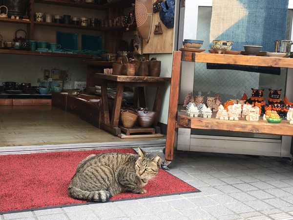 日本・沖縄県「沖縄」の写真