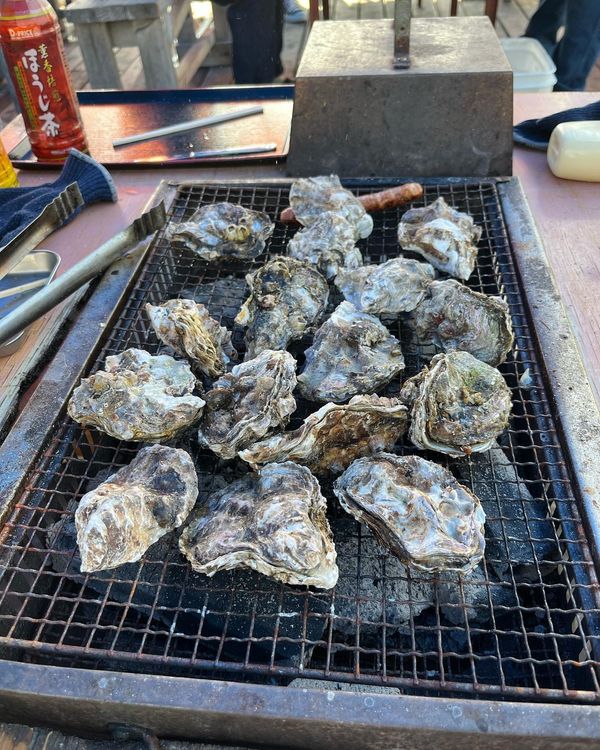 日本・広島県「広島グルメ」の写真：島田水産