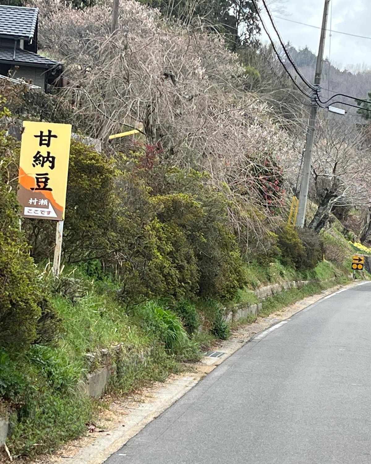 村瀬食品甘納豆屋