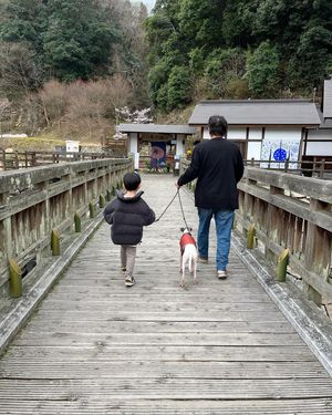 道の駅しおのえ
温泉のある道の駅です。