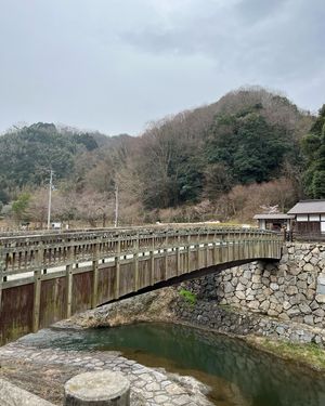 道の駅しおのえ
温泉のある道の駅です。