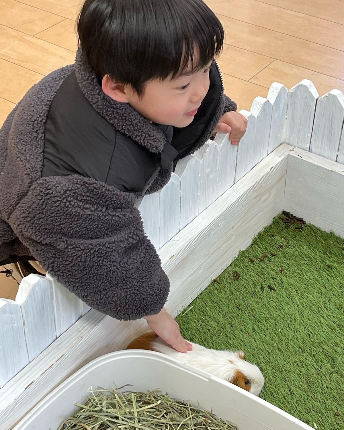 淡路ファームパーク イングランドの丘