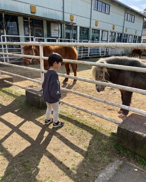 淡路島牧場
ドックランあり。