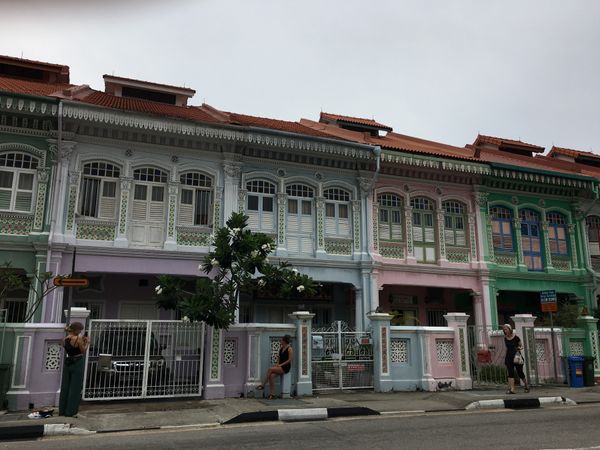 シンガポール・シンガポール「シンガポール」の写真