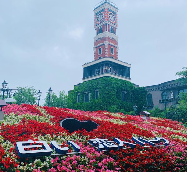 日本・北海道「夏！北海道、ラベンダーの旅」の写真：白い恋人パーク