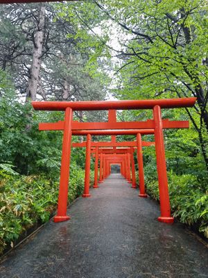 頭大仏と伏見稲荷神社⛩️