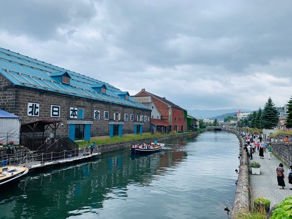 日本・北海道「夏！北海道、ラベンダーの旅」の写真：小樽といえば小樽運河
メロンアイスと若鳥...