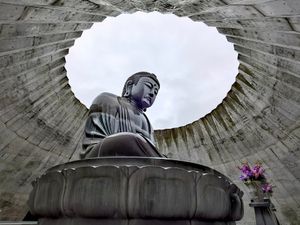 頭大仏と伏見稲荷神社⛩️