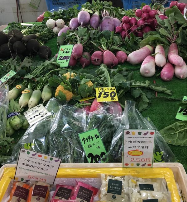 日本・鎌倉「鎌倉」の写真