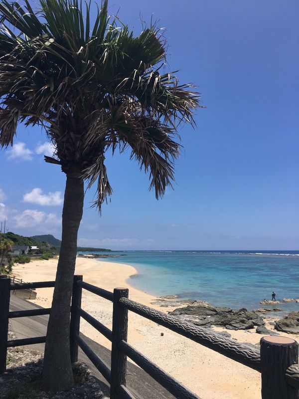 日本・鹿児島県「奄美」の写真