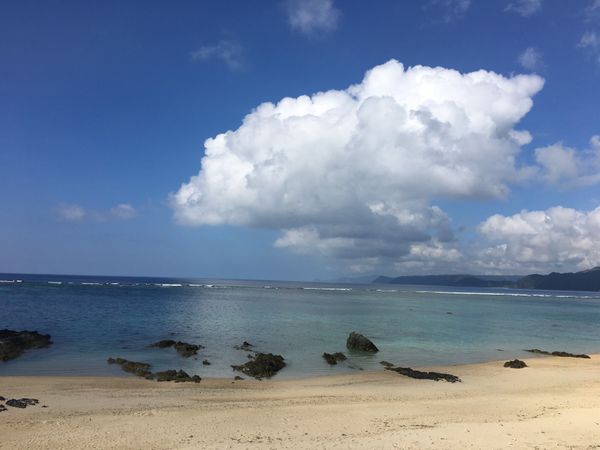 日本・鹿児島県「奄美」の写真