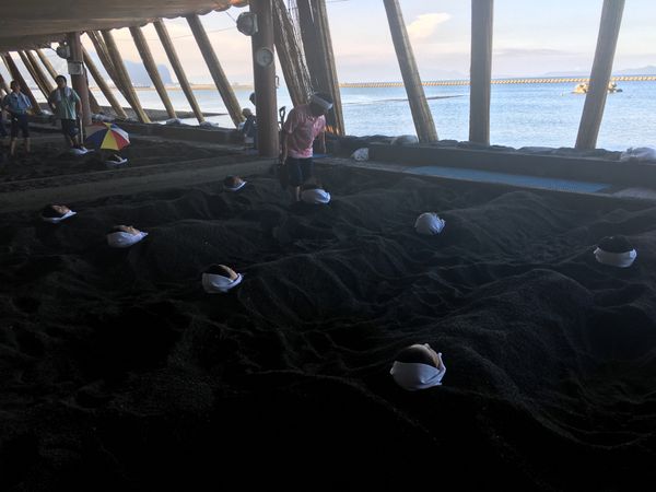 日本・指宿市「指宿」の写真