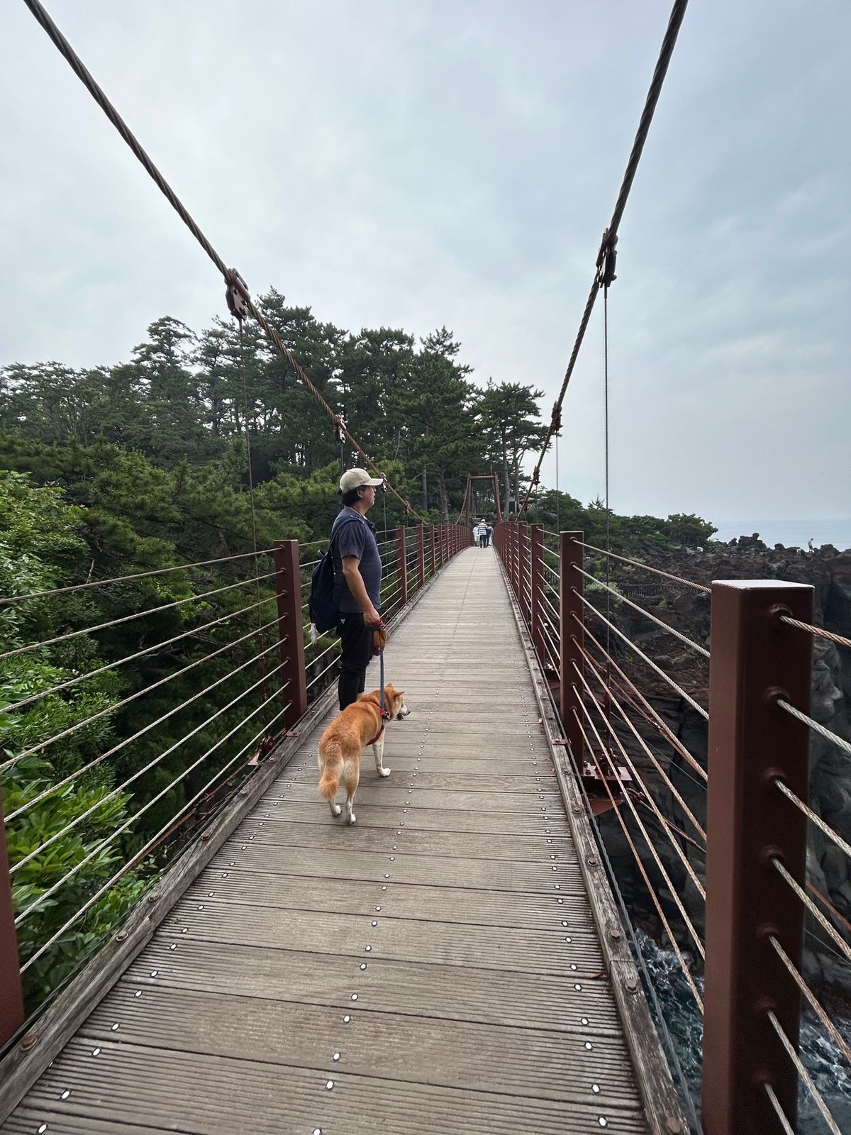 城ヶ崎吊り橋、海鮮丼のお店、伊東オレンジビーチ。
どこもワンコと一緒💕
