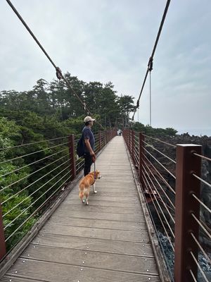 城ヶ崎吊り橋、海鮮丼のお店、伊東オレンジビーチ。
どこもワンコと一緒💕