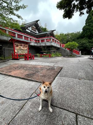 神祇神社⛩️