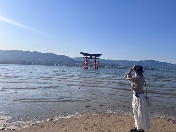日本・宮島「広島」の写真：海