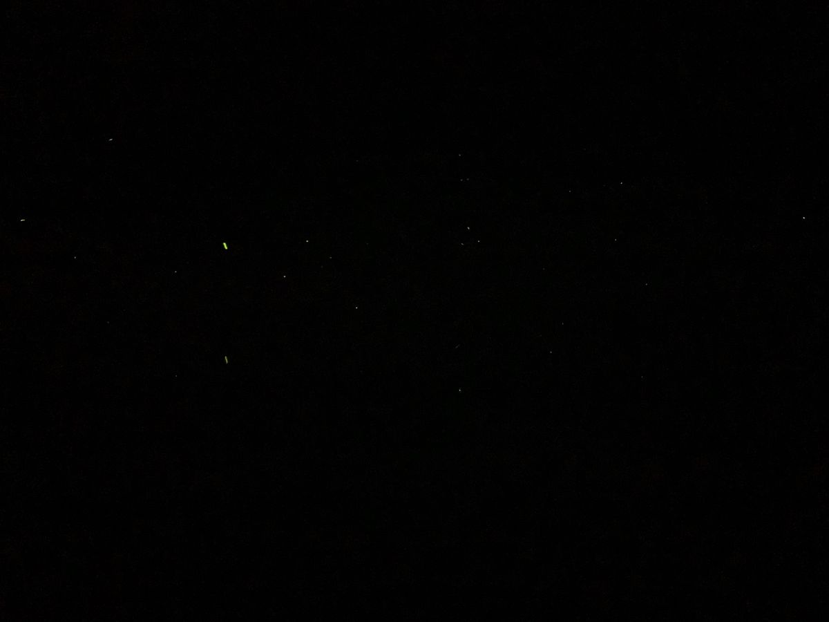 辰野のホタル祭り