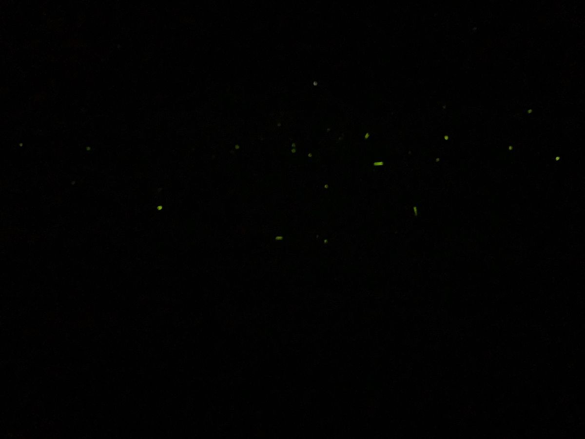 辰野のホタル祭り