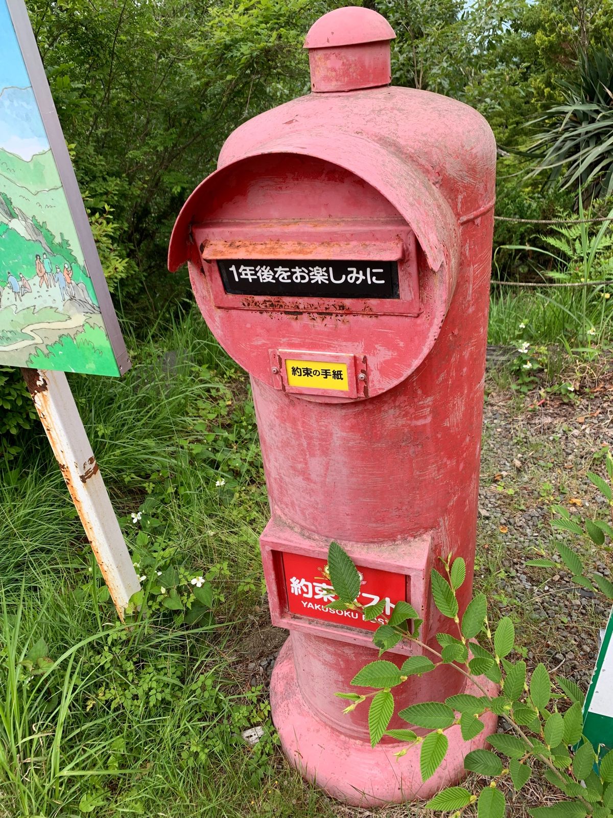 昇仙峡で人生初の流しそうめん(^^)
そして名物ほうとう