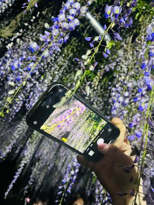 夜の藤の花はまた格別

1枚目がお気に入り