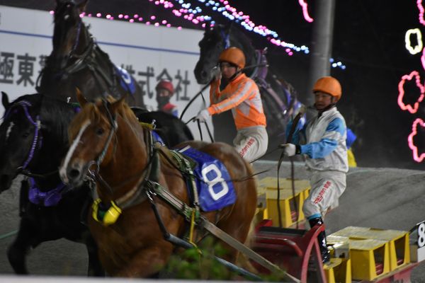 日本・知床「釧路→羅臼→帯広」の写真：帯広