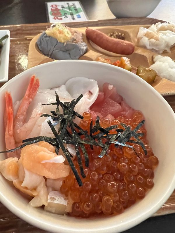 日本・知床「釧路→羅臼→帯広」の写真：十勝川温泉♨️