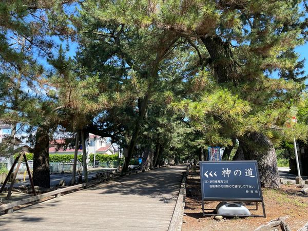 日本・静岡県「静岡、山梨旅行」の写真