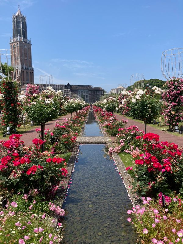 日本・長崎県「3年越し 長崎ハウステンボス」の写真