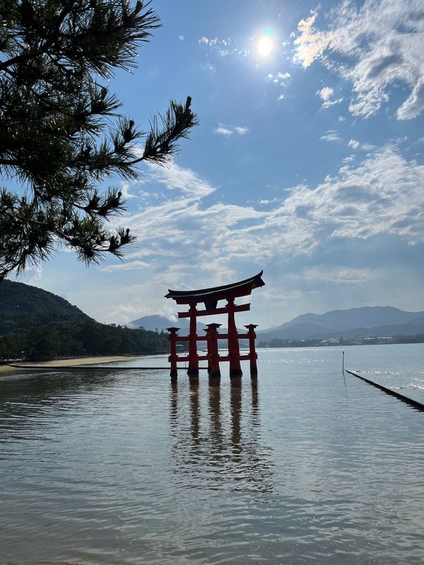 日本・広島県「広島旅✈︎」の写真