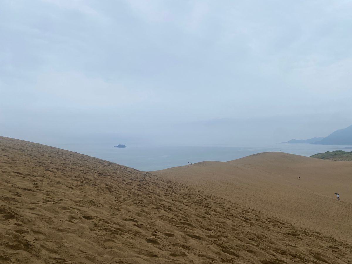 砂丘
砂の美術館