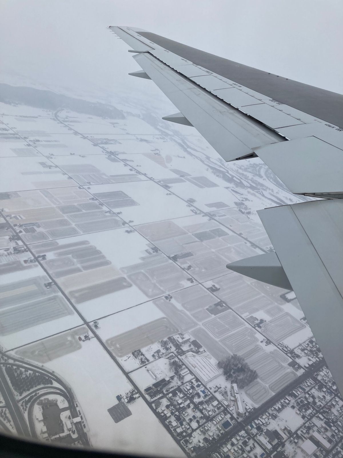 青いライトアップの池