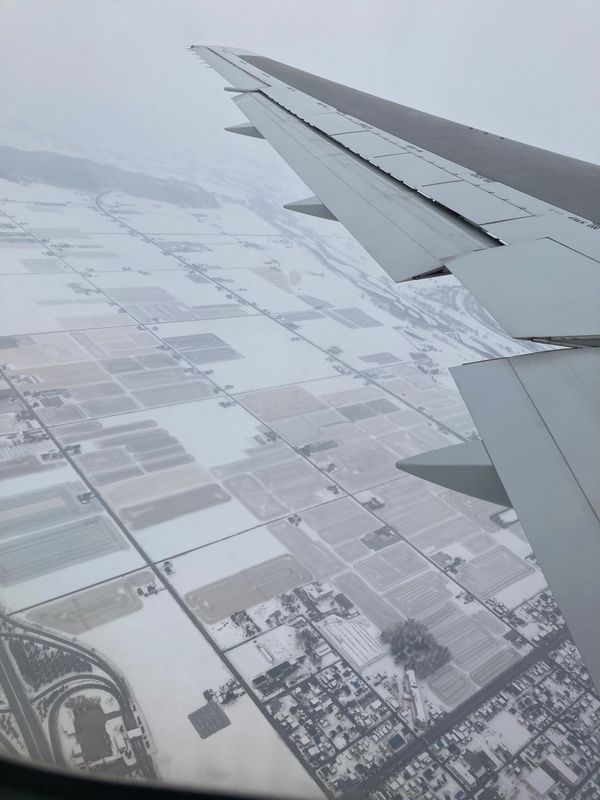 日本・北海道「どこかにマイル 旭川」の写真：青いライトアップの池