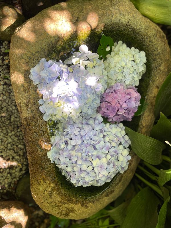 日本「鎌倉 長谷寺」の写真
