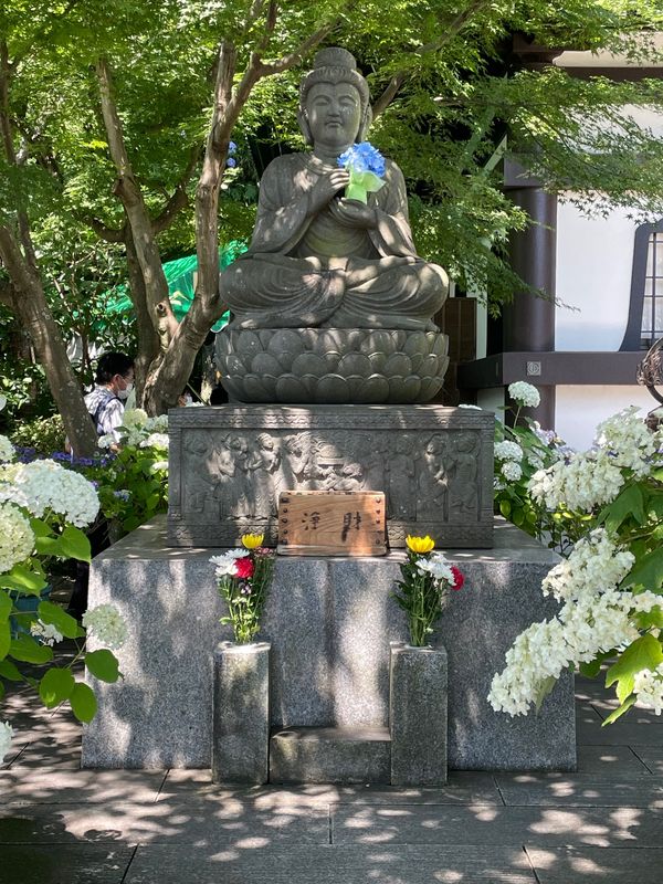 日本「鎌倉 長谷寺」の写真