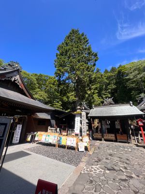 熊野皇大神社にワンコたちのお礼参りに行ってきました