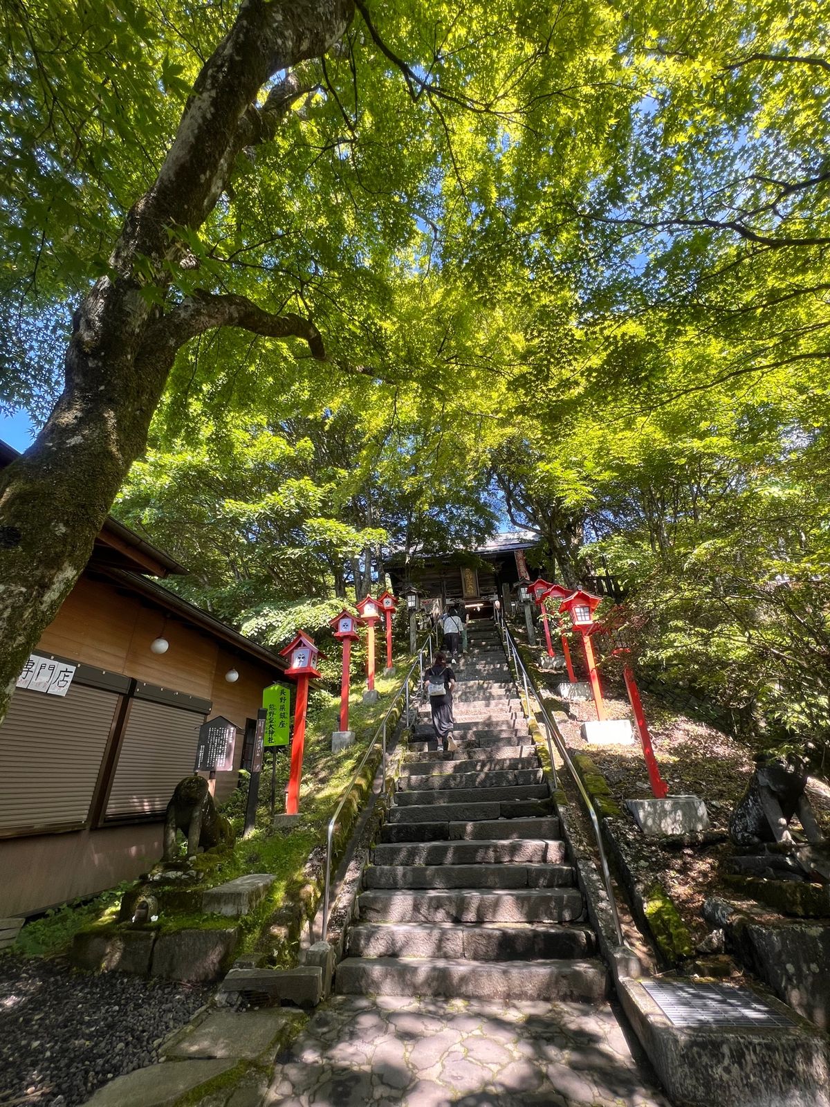 熊野皇大神社にワンコたちのお礼参りに行ってきました