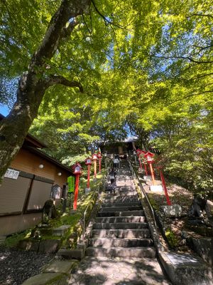 熊野皇大神社にワンコたちのお礼参りに行ってきました