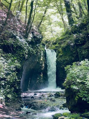 竜返しの滝
マイナスイオンに癒されました