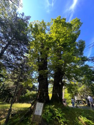 軽井沢諏訪神社